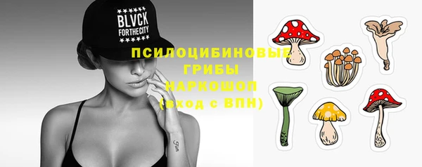 крисы Елабуга