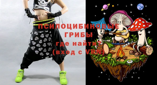 PSILOCYBIN Магас