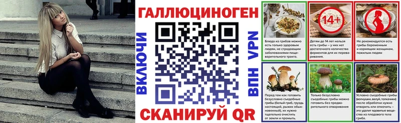 kraken рабочий сайт  где продают   Бородино  darknet клад  Псилоцибиновые грибы Magic Shrooms 