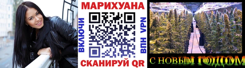 Бошки марихуана конопля Бородино